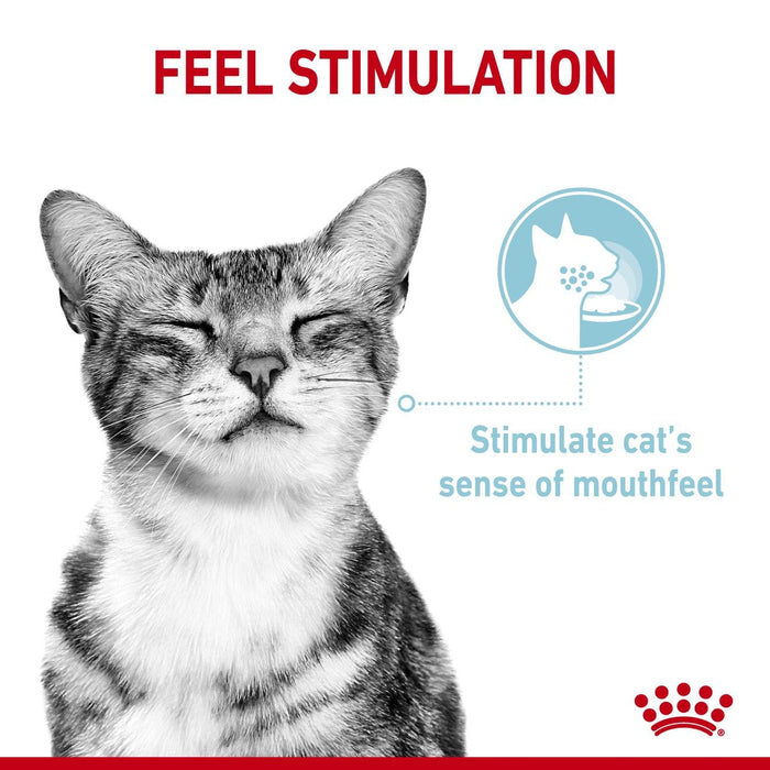 Royal Canin Adult Sensory Feel Morsels In Jelly Wet Cat Food