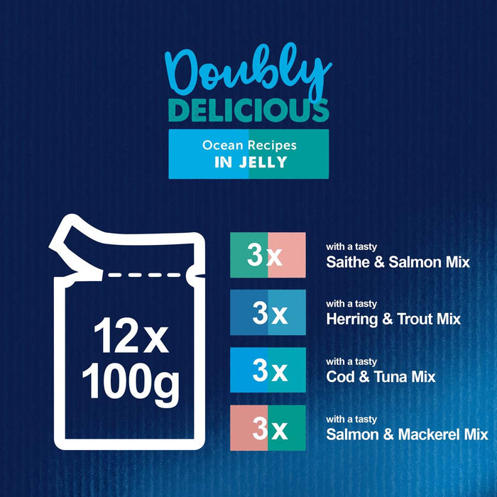 Felix Adult Doubly Delicious Ocean Recipes Wet Cat Food 12 x 100g