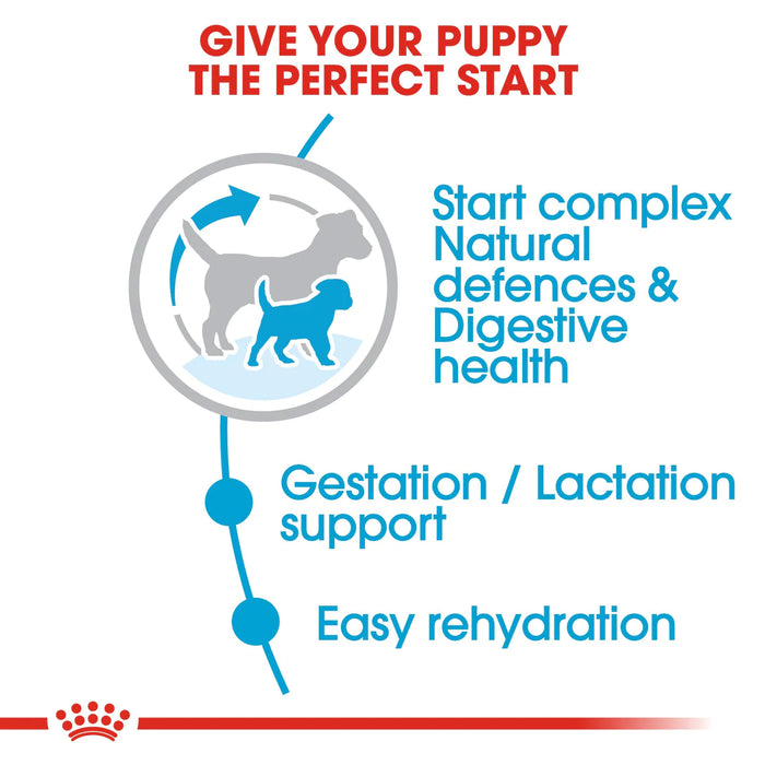 Royal Canin Adult and Puppy Mini Starter Mother & Babydog Dry Dog Food