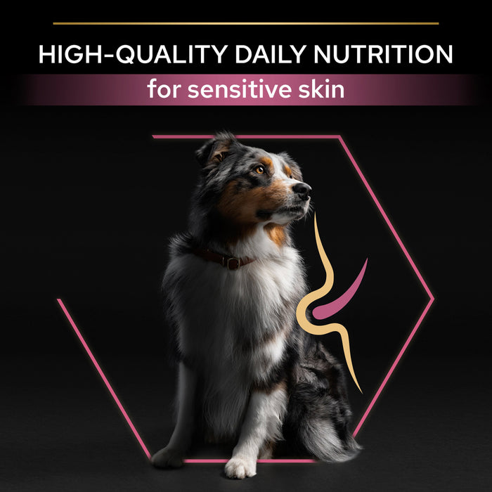 Pro Plan Medium and Large Adult 7+ Sensitive Skin Salmon Dry Dog Food