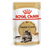 Royal Canin Adult Maine Coon Thin Slices In Gravy Wet Cat Food