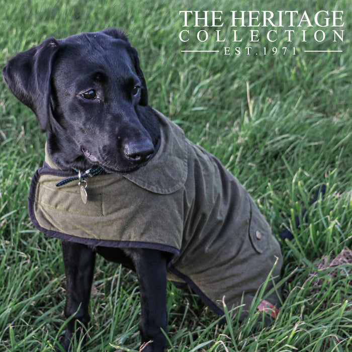 Ancol Heritage Green Wax Dog Coat XXL