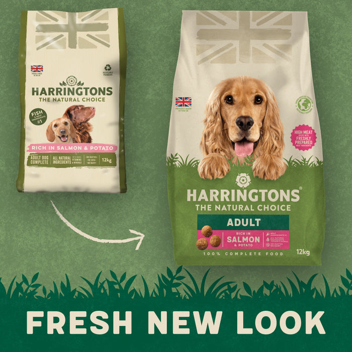 Harringtons Rich in Salmon & Rice Adult Dry Dog Food 12kg