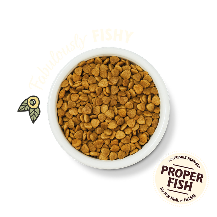 Lily's Kitchen Adult Fishermans Feast White Fish & Salmon Dry Cat Food