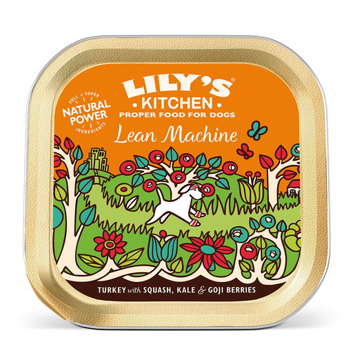 Lily's Kitchen Lean Machine with Turkey & Squash Wet Dog Food
