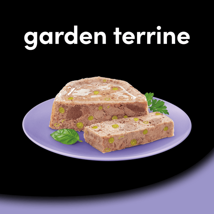 Cesar Garden Terrine with Juicy Lamb/Turkey & Green Beans Wet Dog Food 150g
