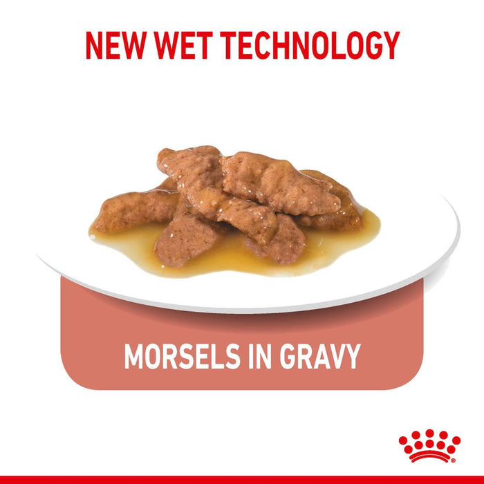 Royal Canin Adult Indoor Sterilised Morsels In Gravy Wet Cat Food