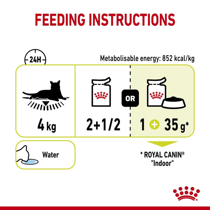 Royal Canin Adult Sensory Smell Chunks In Gravy Wet Cat Food