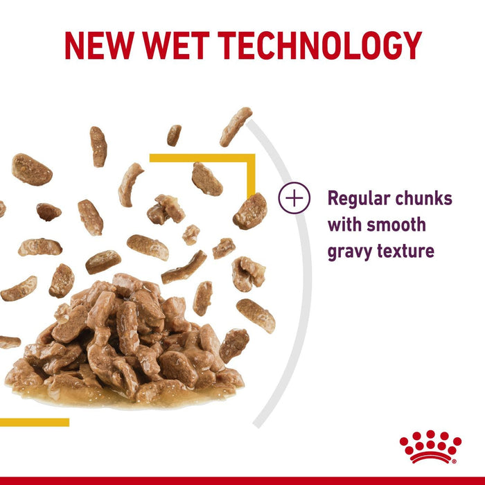 Royal Canin Adult Sensory Taste Chunks In Gravy Wet Cat Food