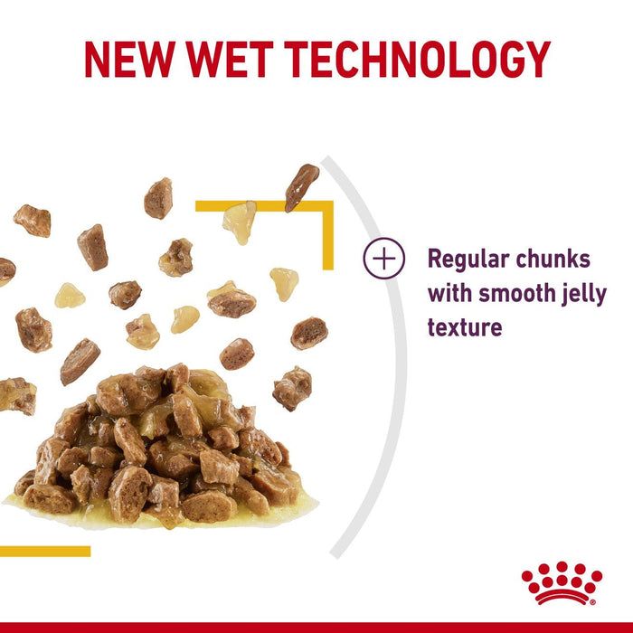 Royal Canin Adult Sensory Taste Chunks In Jelly Wet Cat Food