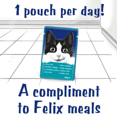 Felix Adult Soup Tender Strips with Cod, Tuna and Plaice Wet Cat Food 6 x 48g