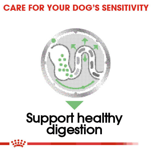 Royal Canin Adult Digestive Care Wet Dog Food