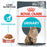 Royal Canin Feline Adult Urinary Care in Gravy Wet Cat Food Pouches - 12 x 85g