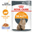 Royal Canin Feline Adult Intense Beauty in Jelly Wet Cat Food Pouches - 12 x 85g