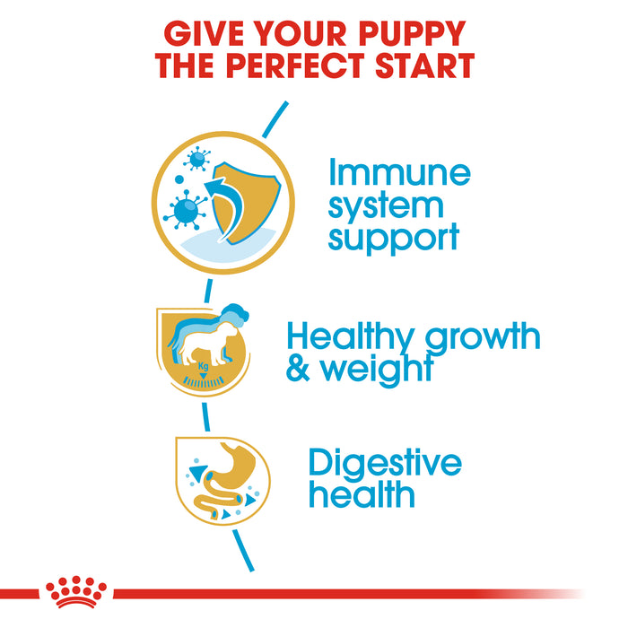 Royal Canin Puppy Labrador Retriever Dry Dog Food