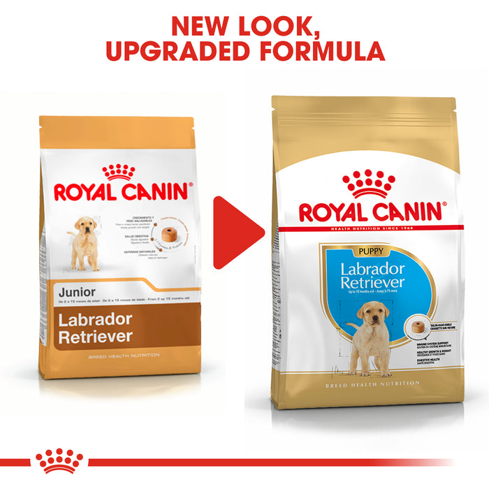 Royal Canin Puppy Labrador Retriever Dry Dog Food