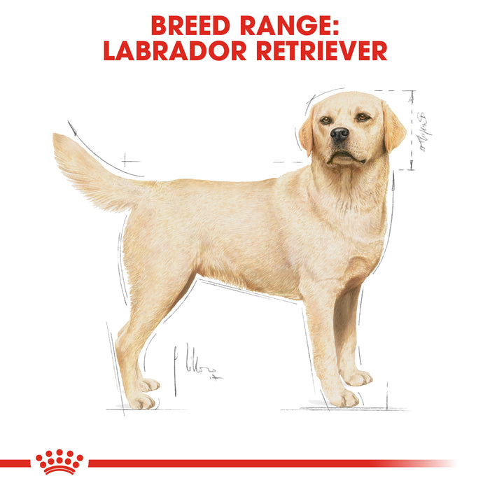 Royal Canin Adult Labrador Retriever Dry Dog Food 12kg