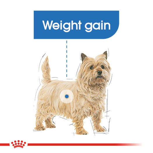 Royal Canin Adult Light Weight Care Loaf Wet Dog Food