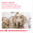 Royal Canin Adult Medium Dental Care Dry Dog Food 10kg