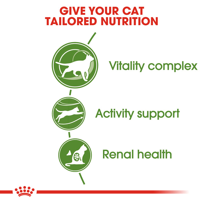 Royal Canin Mature Outdoor 7+ Dry Cat Food