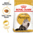 Royal Canin Adult Persian Dry Cat Food 2kg