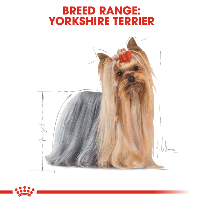 Royal Canin Adult Yorkshire Terrier Dry Dog Food