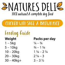 Natures Deli Chicken with Sage and Brown Rice 400g