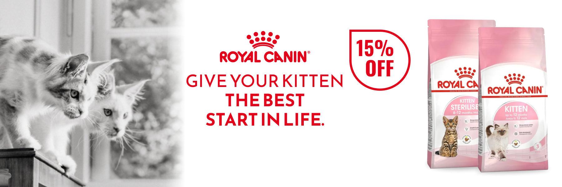 Give Your Kitten The Best Start In Life.