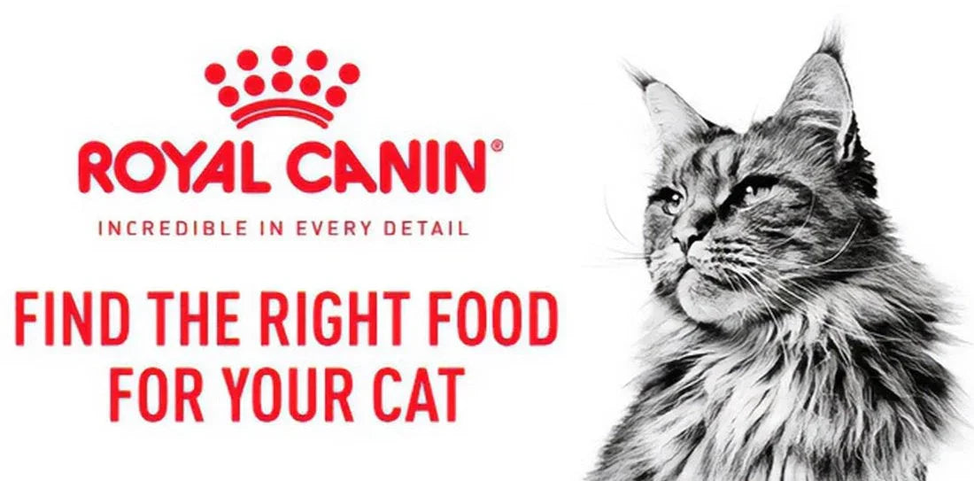 Royal Canin Cat Food
