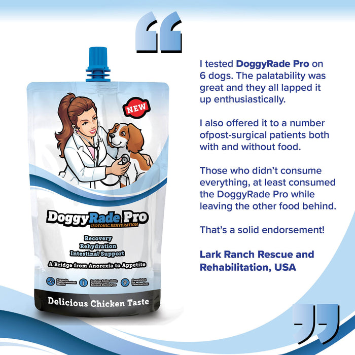 DoggyRade Pro Isotonic Rehydration Drink for Dogs 500 ml