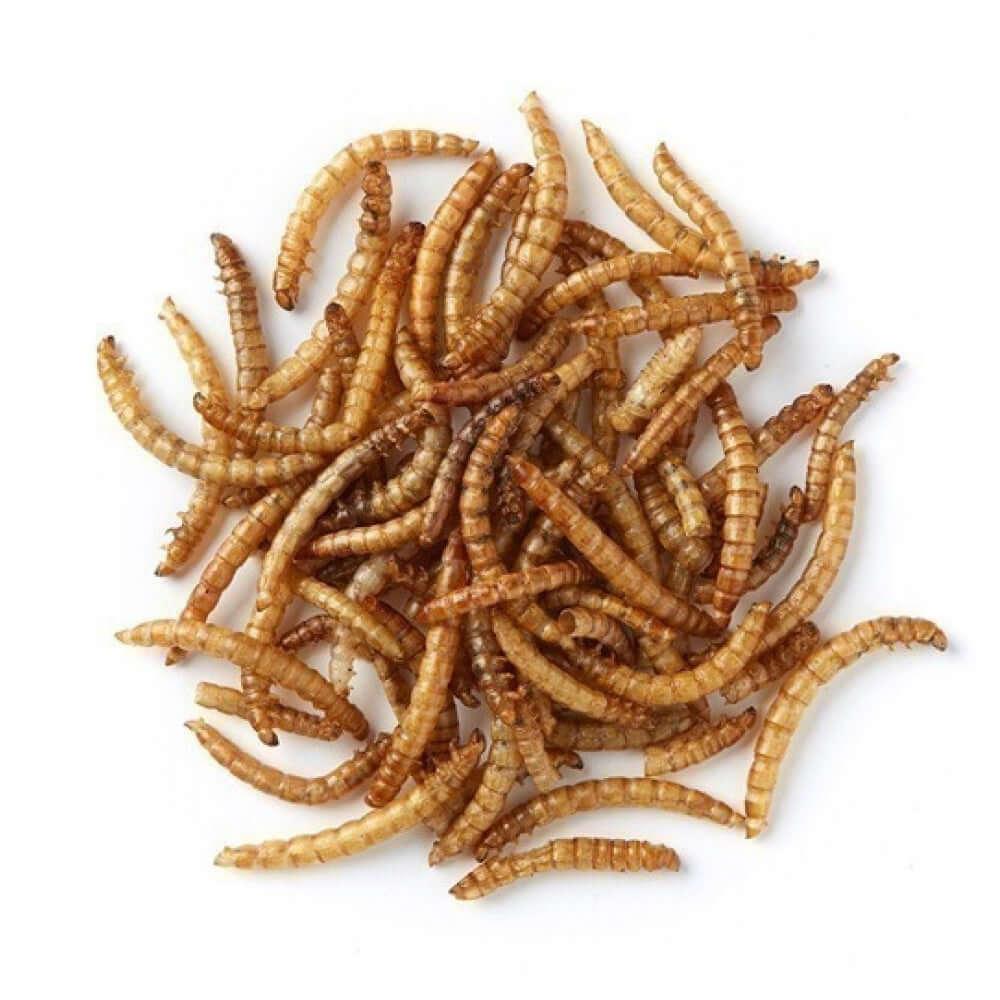 Extra Select Dried Mealworms 500ml
