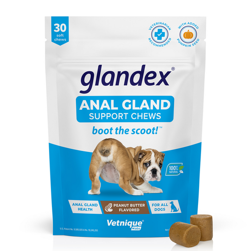 Vetnique Labs Glandex Anal Gland Supplement Chews for Dogs with Pumpkin 30 Count