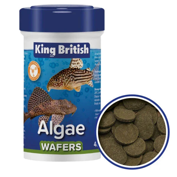 King British Algae Wafers Fish Food