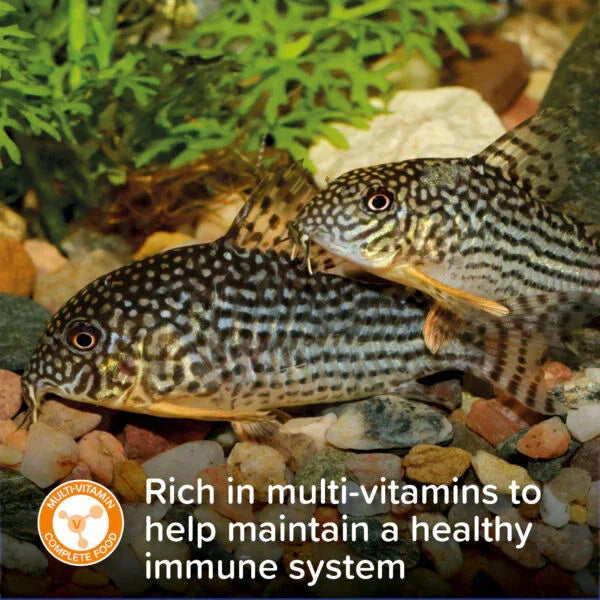 King British Algae Wafers Fish Food