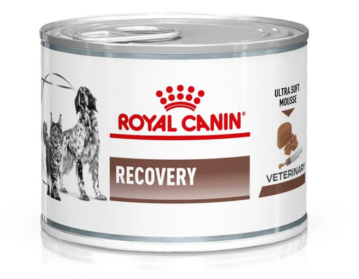 Royal Canin Adult Recovery Ultra Soft Mousse Wet Dog Food