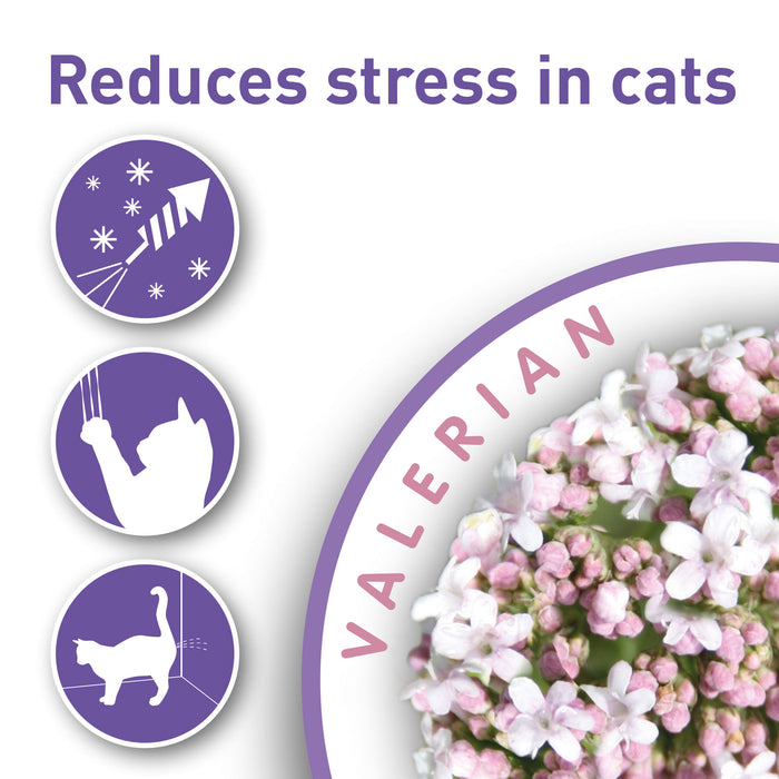 Beaphar Calming Valerian Spot On for Cats 3 pipettes