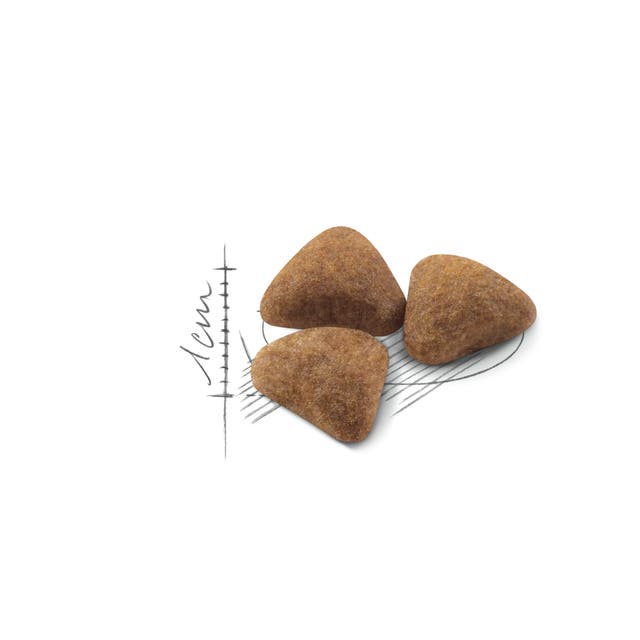 Royal Canin Cat Food Indoor 27 Dry Mix 2kg