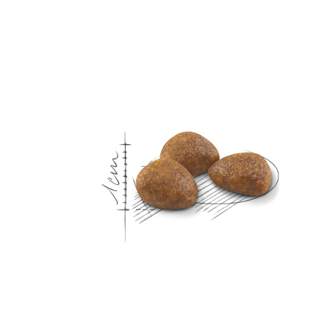 Royal Canin Outdoor Cat Ageing 7+ Dry Mix 400g