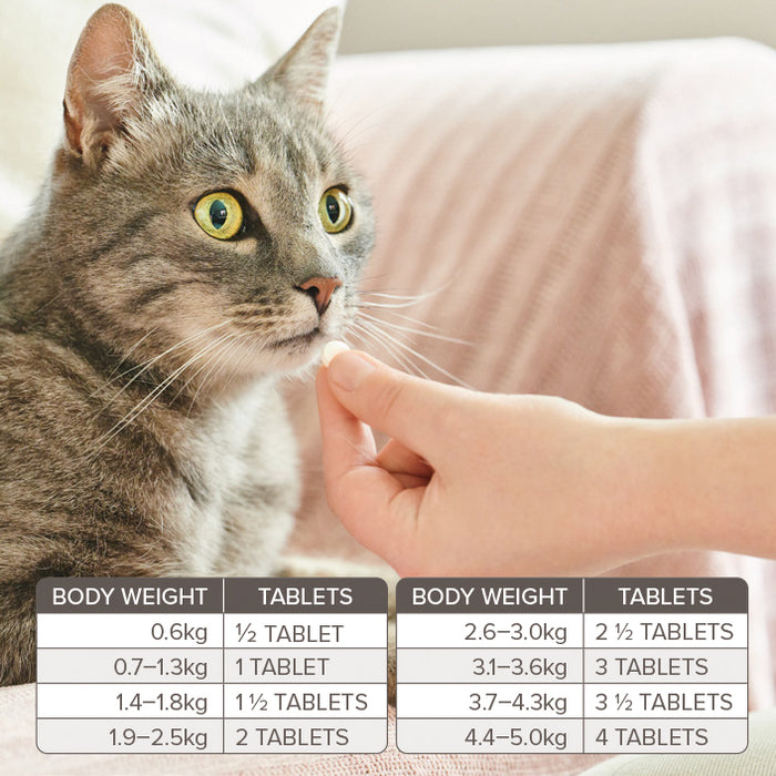 Beaphar Multi-Wormer Tablets for Cats (>0.6kg) 12 tablets