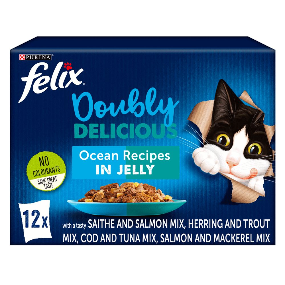 Felix Adult Doubly Delicious Ocean Recipes Wet Cat Food 12 x 100g