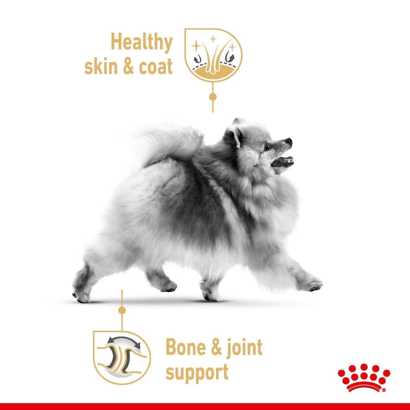 Royal Canin Adult Pomeranian Wet Dog Food