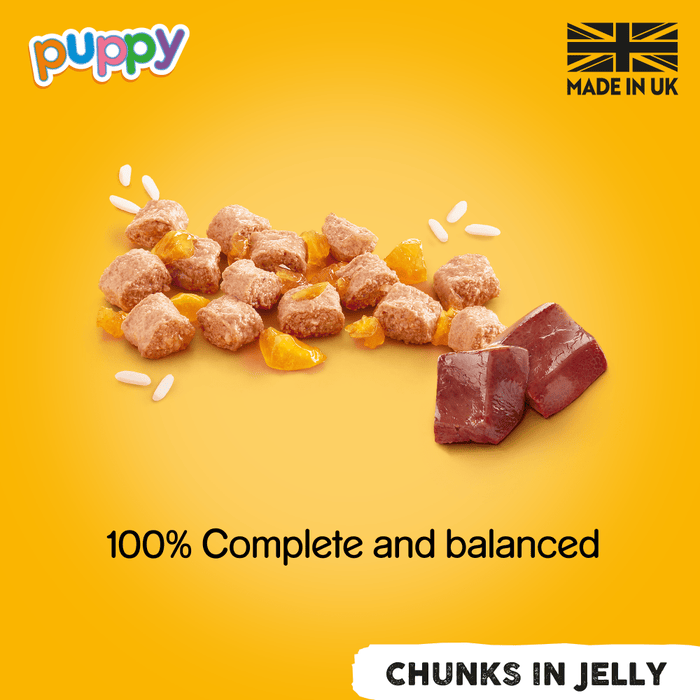 Pedigree Puppy Mixed Selection Chunks in Jelly Wet Dog Food 6 x 400g