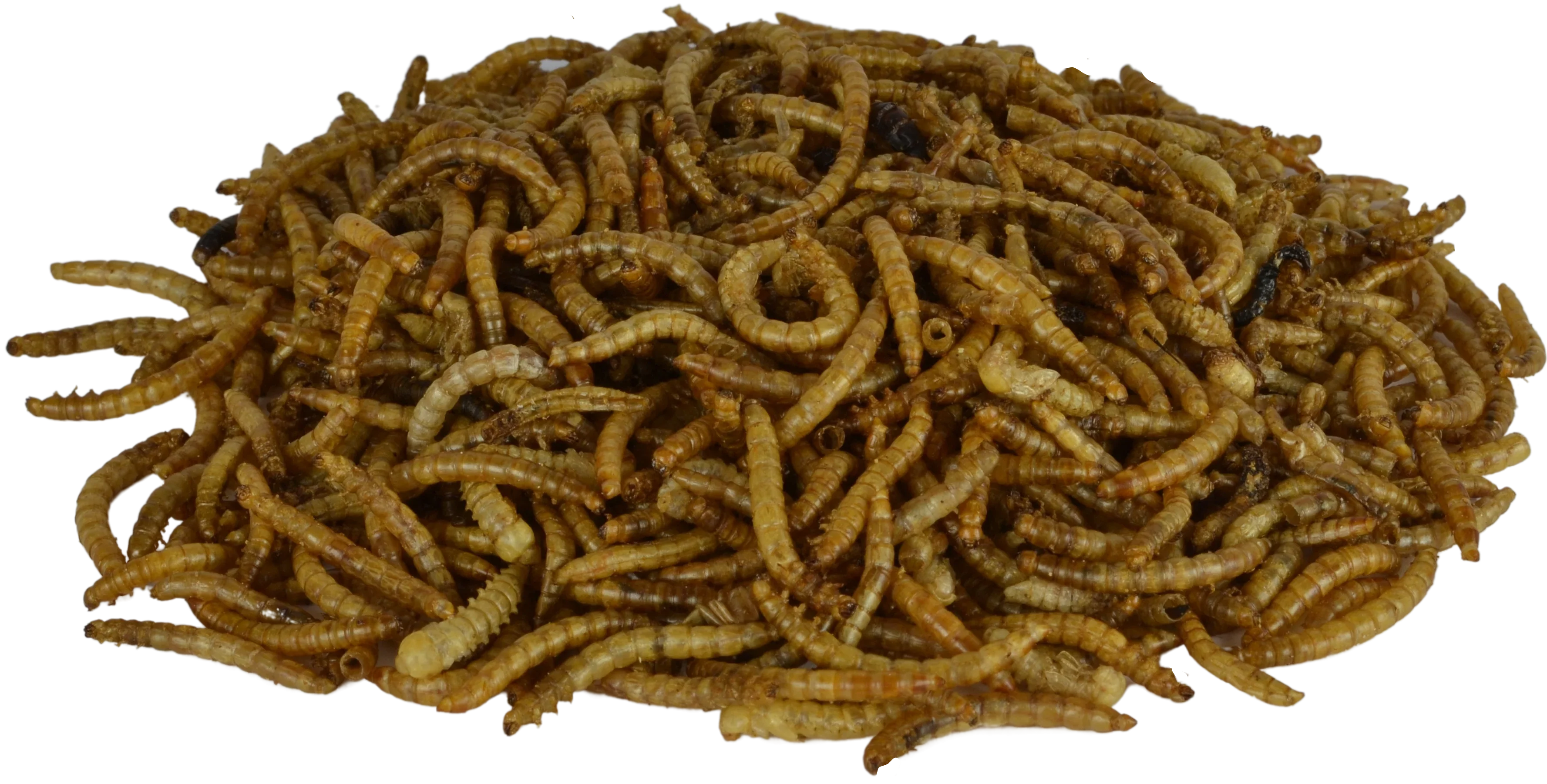 Supa Dried Mealworms Bird Food 3L