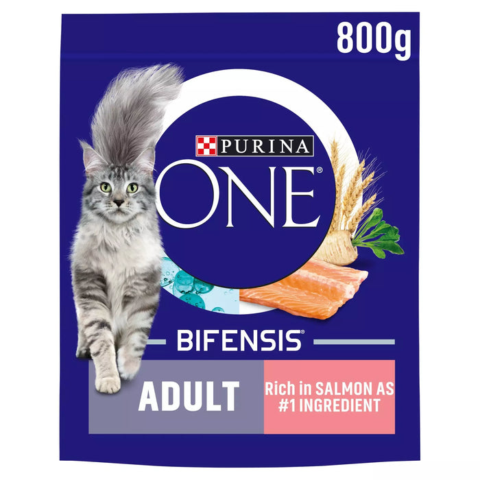 Purina One Adult Salmon Dry Cat Food