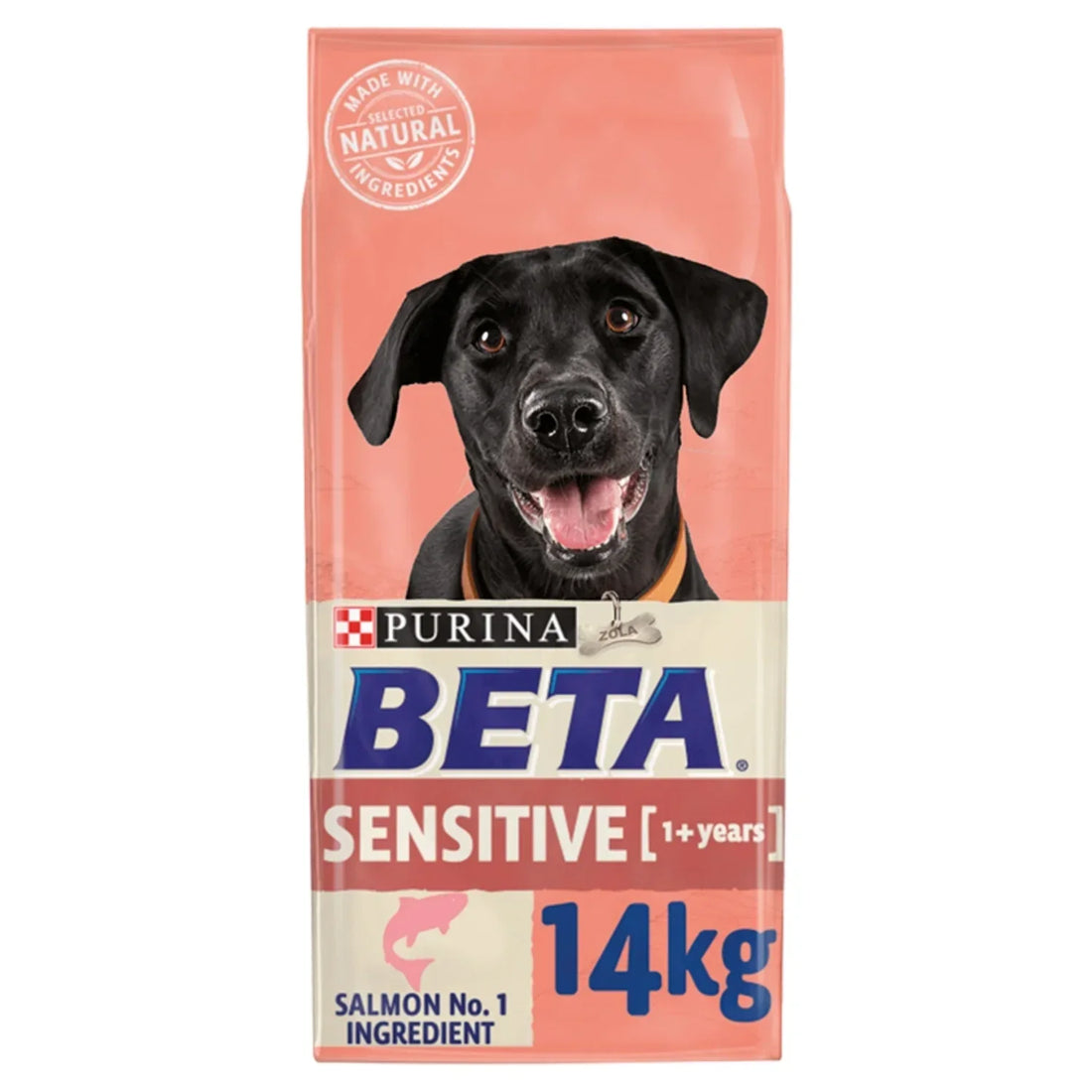 Beta Adult Sensitive Salmon Dry Dog Food