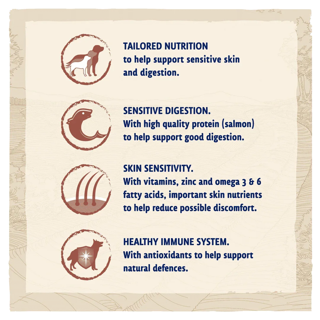 Beta Adult Sensitive Salmon Dry Dog Food