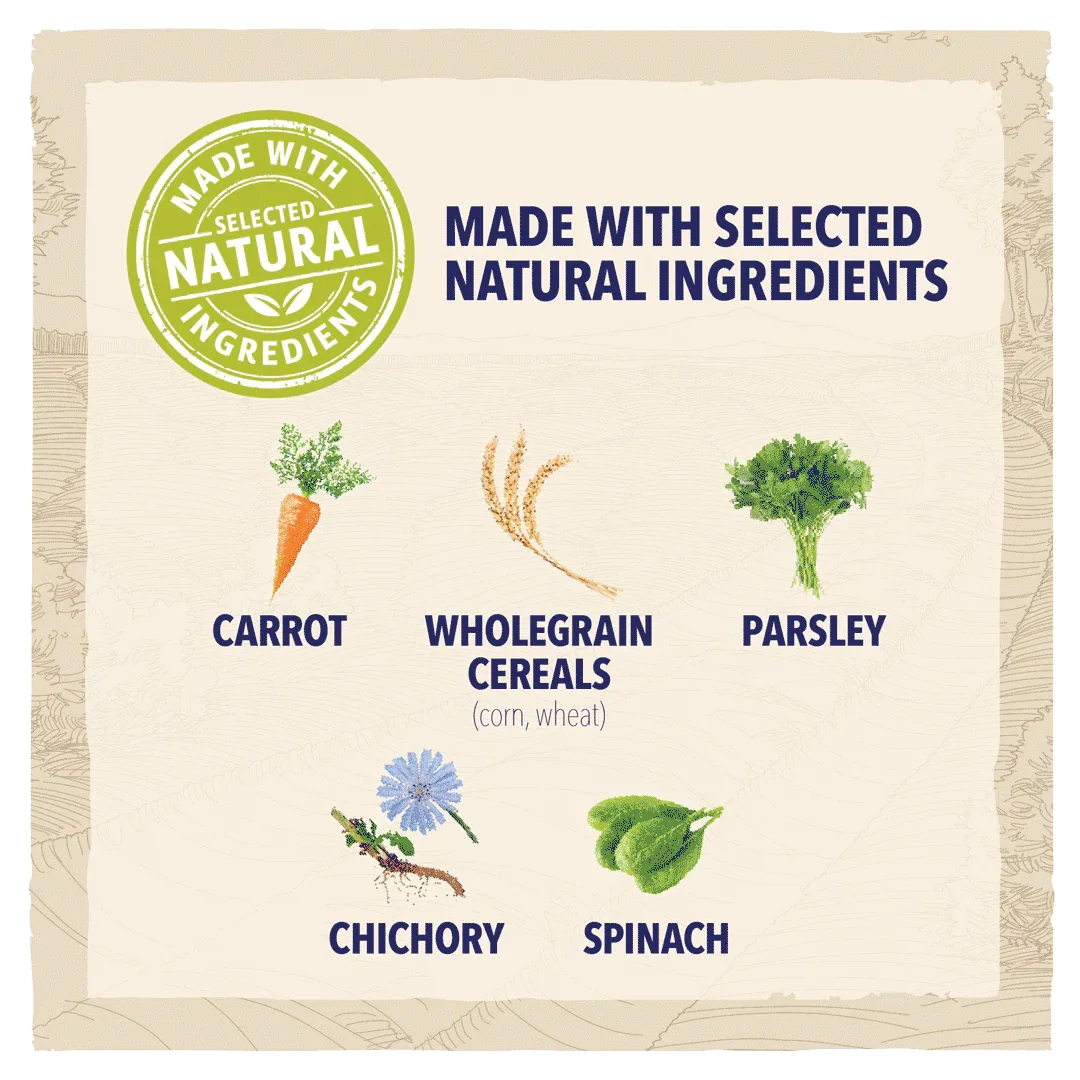 Beta Adult Chicken Dry Dog Food