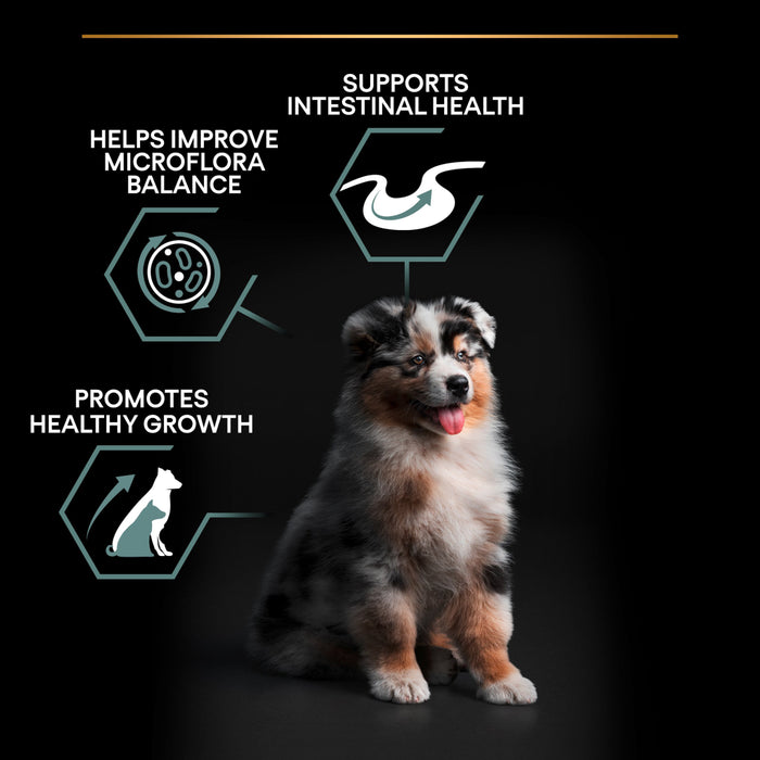 Pro Plan Medium Puppy Sensitive Digestion Lamb Dry Dog Food