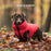 Hugo & Hudson Reversible Dog Puffer Jacket Red and Navy Medium (40cm)