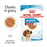 Royal Canin Puppy Medium Chunks In Gravy Wet Dog Food